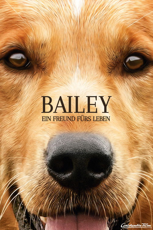 Plakat: Bailey - Ein Freund fürs Leben